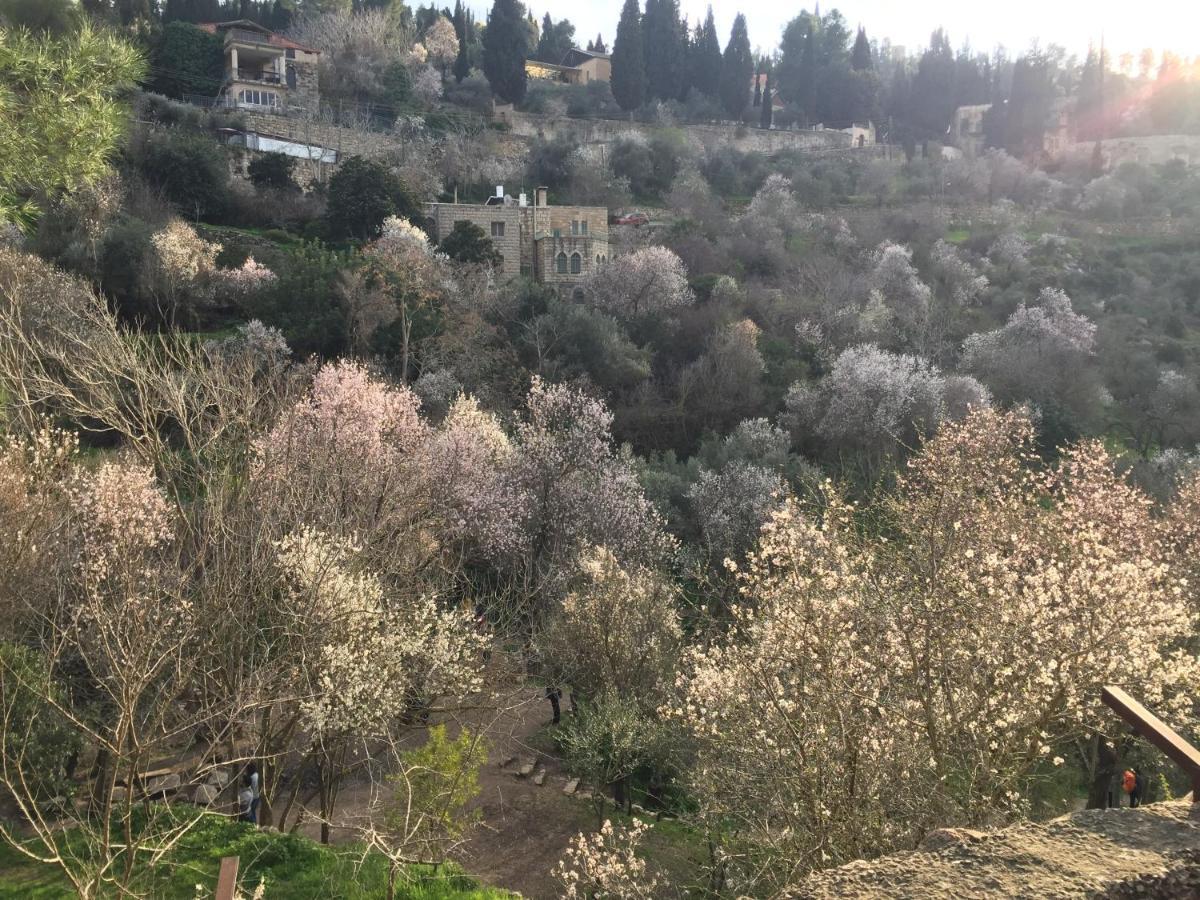 Sweet 'En Kerem View Acomodação com café da manhã Jerusalém Exterior foto